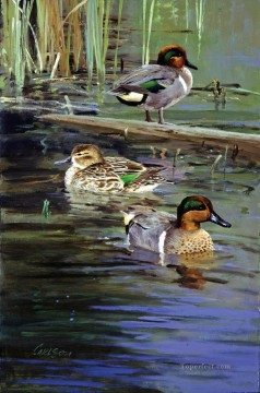  birds Oil Painting - swimming birds